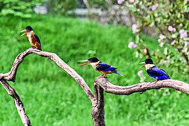 发售三天 《寂静岭2：重制版》全球销量突破100万